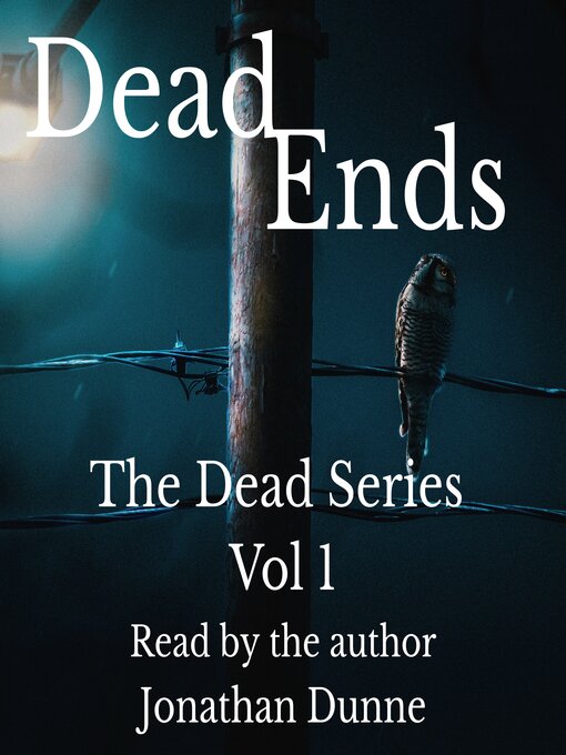 Cover image for Dead Ends